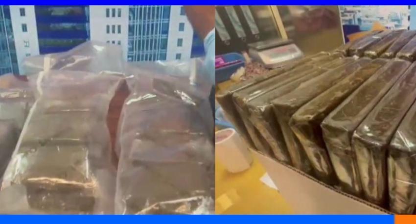 ஹஷீஸ் போதைப்பொருளுடன் கனேடிய பிரஜை கைது